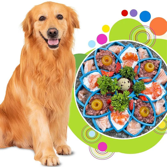 Pet Slow Food Tray